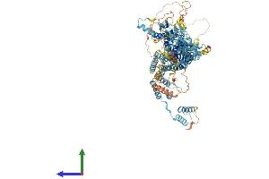 AlphaFold protein structure predicition of Mouse Recombinant Tubgcp5 Protein, UniprotID Q8BKN5 (TUBGCP5 Protein (AA 1-1024) (His tag))