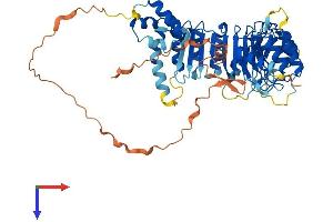 FBXL6 Protein (AA 1-539) (His tag)