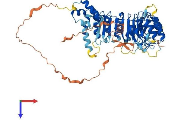 FBXL6 Protein (AA 1-539) (His tag)