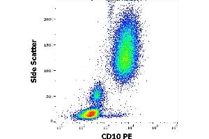 Flow cytometry surface staining pattern of human peripheral whole blood stained using anti-human CD10 (MEM-78) PE antibody (20 μL reagent / 100 μL of peripheral whole blood).