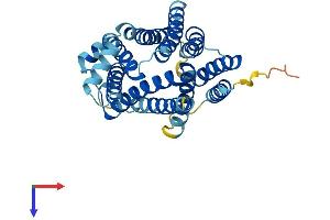 SLC35A3 Protein (AA 1-325) (His tag)