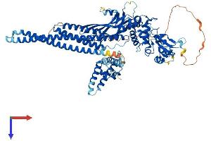 STAT5A Protein (AA 1-794) (His tag)