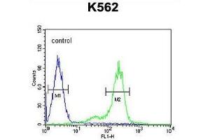 ZN572 Antibody (C-term) flow cytometric analysis of K562 cells (right histogram) compared to a negative control cell (left histogram). (ZNF572 Antikörper  (C-Term))
