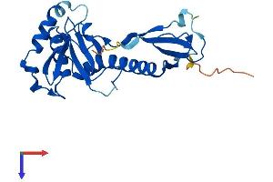 AlphaFold protein structure predicition of Human Recombinant MKRN2OS Protein, UniprotID H3BPM6