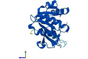 AlphaFold protein structure predicition of Human Recombinant METTL23 Protein, UniprotID Q86XA0