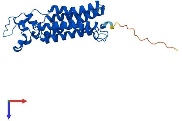 PPAPDC1B Protein (AA 1-260) (His tag)