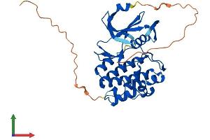 Protein Structure (PS) image for Pim-3 Oncogene (PIM3) (AA 1-326) protein (His tag) (ABIN7556527)