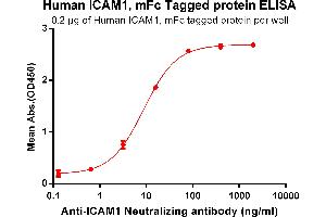 ELISA plate pre-coated by 2 μg/mL (100 μL/well) Human ICAM1, mFc tagged protein (ABIN6961122) can bind Anti-ICAM1 Antibody in a linear range of 0. (ICAM1 Protein (mFc Tag))