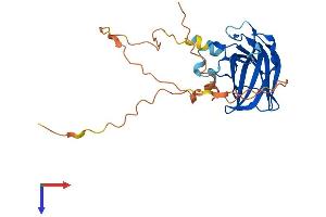 RIMS4 Protein (AA 1-269) (His tag)