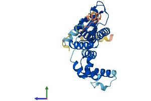 AlphaFold protein structure predicition of Human Recombinant LIX1 Protein, UniprotID Q8N485