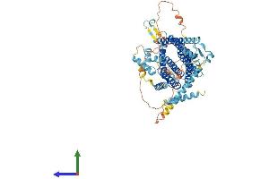 Protein Structure (PS) image for Autocrine Motility Factor Receptor (AMFR) (AA 1-643) protein (His tag) (ABIN7552023)