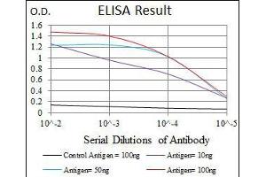 Black line: Control Antigen (100 ng), Purple line: Antigen(10 ng), Blue line: Antigen (50 ng), Red line: Antigen (100 ng), (DLL4 Antikörper)