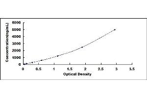 Typical standard curve (CSN2 ELISA Kit)