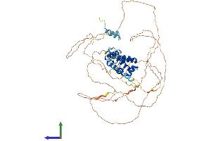 Protein Structure (PS) image for HNF1 Homeobox A (HNF1A) (AA 1-628) protein (His tag) (ABIN7562967)