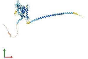Protein Structure (PS) image for Septin 14 (SEPT14) (AA 1-430) protein (His tag) (ABIN7561213)