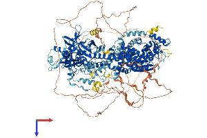 DROSHA Protein (AA 1-1373) (His tag)