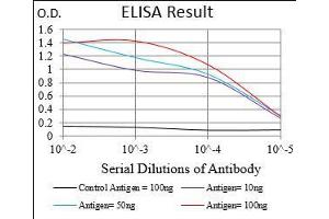 Fig. (Villin 1 Antikörper  (AA 1-209))