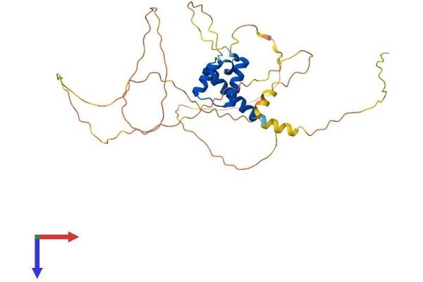 HOXD1 Protein (AA 1-328) (His tag)
