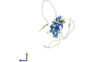 AlphaFold protein structure predicition of Human Recombinant SH3BP1 Protein, UniprotID Q9Y3L3