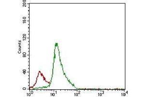 Flow cytometric analysis of Jurkat cells using CD7 mouse mAb (green) and negative control (red). (CD7 Antikörper  (AA 72-175))