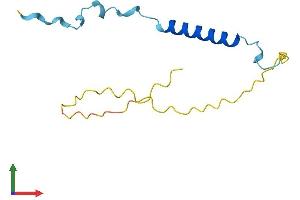 AlphaFold protein structure predicition of Human Recombinant ANAPC15 Protein, UniprotID P60006