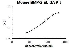 Mouse BMP-2 PicoKine ELISA Kit standard curve