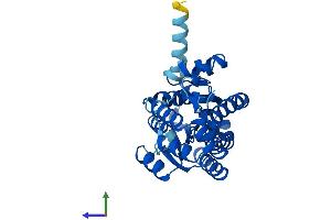 AlphaFold protein structure predicition of Mouse Recombinant Sdr9c7 Protein, UniprotID Q8K3P0