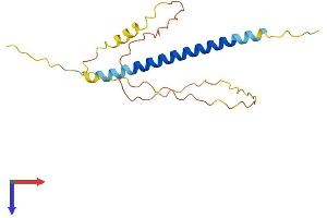 AlphaFold protein structure predicition of Human Recombinant C18orf15 Protein, UniprotID Q96N68