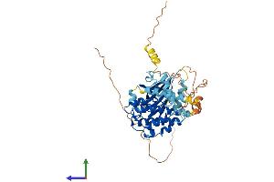 Protein Structure (PS) image for MAP Kinase Interacting serine/threonine Kinase 2 (MKNK2) (AA 1-459) protein (His tag) (ABIN7564540)