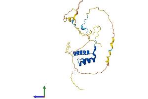 Protein Structure (PS) image for Homeobox D4 (HOXD4) (AA 1-255) protein (His tag) (ABIN7548457)