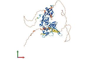 Protein Structure (PS) image for PHD Finger Protein 19 (PHF19) (AA 1-580) protein (His tag) (ABIN7554928)