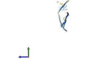 Protein Structure (PS) image for Hook Homolog 1 (HOOK1) (AA 1-728) protein (His tag) (ABIN7564366)