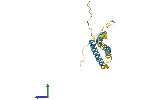 Protein Structure (PS) image for Ninjurin 1 (NINJ1) (AA 1-152) protein (His tag) (ABIN7549758)
