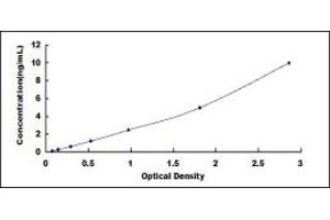 APLP1 ELISA Kit