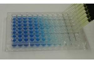 Immunochemicals produces a wide variety of buffers and substrates for use in ELISAs. (ELISA Microwell Blocking Buffer with Stabilizer (Azide and Mercury Free))