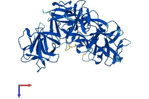 Protein Structure (PS) image for Fascin 3 (FSCN3) (AA 1-498) protein (His tag) (ABIN7561766)