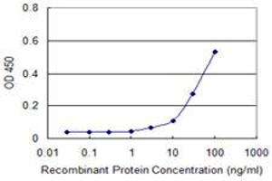 Detection limit for recombinant GST tagged CDC2 is approximately 30ng/ml as a capture antibody. (CDK1 Antikörper  (AA 1-297))