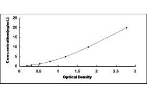 AOX1 ELISA Kit