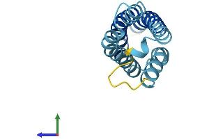 Protein Structure (PS) image for Cornichon Homolog (CNIH) (AA 1-144) protein (His tag) (ABIN7546506)