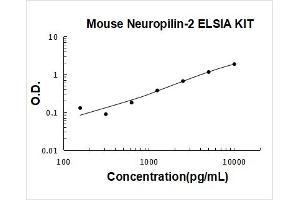 Neuropilin 2 (NRP2) ELISA Kit