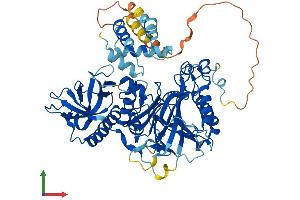 AlphaFold protein structure predicition of Human Recombinant POLA2 Protein, UniprotID Q14181