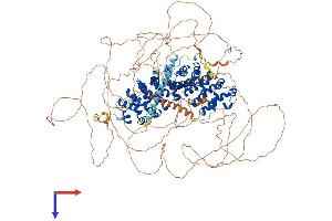 CTNND2 Protein (AA 1-1225) (His tag)