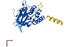 AICDA Protein (AA 1-198) (His tag)