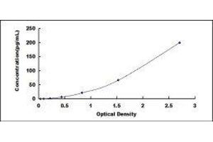Prothrombin Fragment 1+2 (F1+2) ELISA Kit