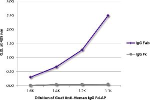 ELISA plate was coated with purified human IgG Fab and IgG Fc. (Ziege anti-Human IgG (Fd Region) Antikörper (Alkaline Phosphatase (AP)))