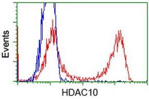 HEK293T cells transfected with either RC218536 overexpress plasmid (Red) or empty vector control plasmid (Blue) were immunostained by anti-HDAC10 antibody (ABIN2453115), and then analyzed by flow cytometry. (HDAC10 Antikörper)