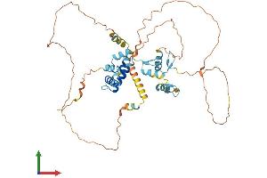 AlphaFold protein structure predicition of Human Recombinant ZNF446 Protein, UniprotID Q9NWS9
