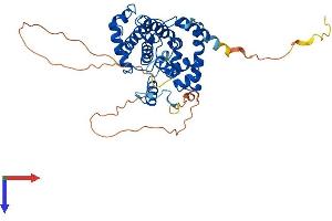 Cyclin E2 Protein (CCNE2) (AA 1-404) (His tag)