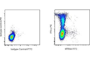 Detection of Interleukin-17A (IL-17A) by flow cytometry in human peripheral blood mononuclear cells (PBMC). (Interleukin 17a Antikörper  (FITC))