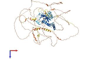 Suppressor of Ty 20 Homolog (S. Cerevisiae)-Like 1 (SUPT20HL1) (AA 1-823) protein (His tag)